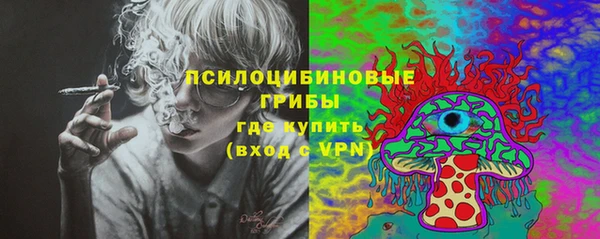 прущая мука Кулебаки