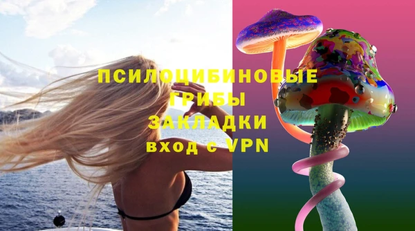 прущая мука Кулебаки